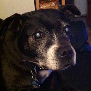 Meet your Posher, Stefanie